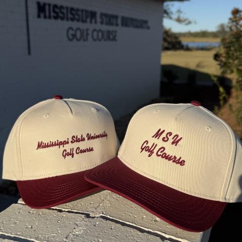 Product Catalog | MSU Golf Shop